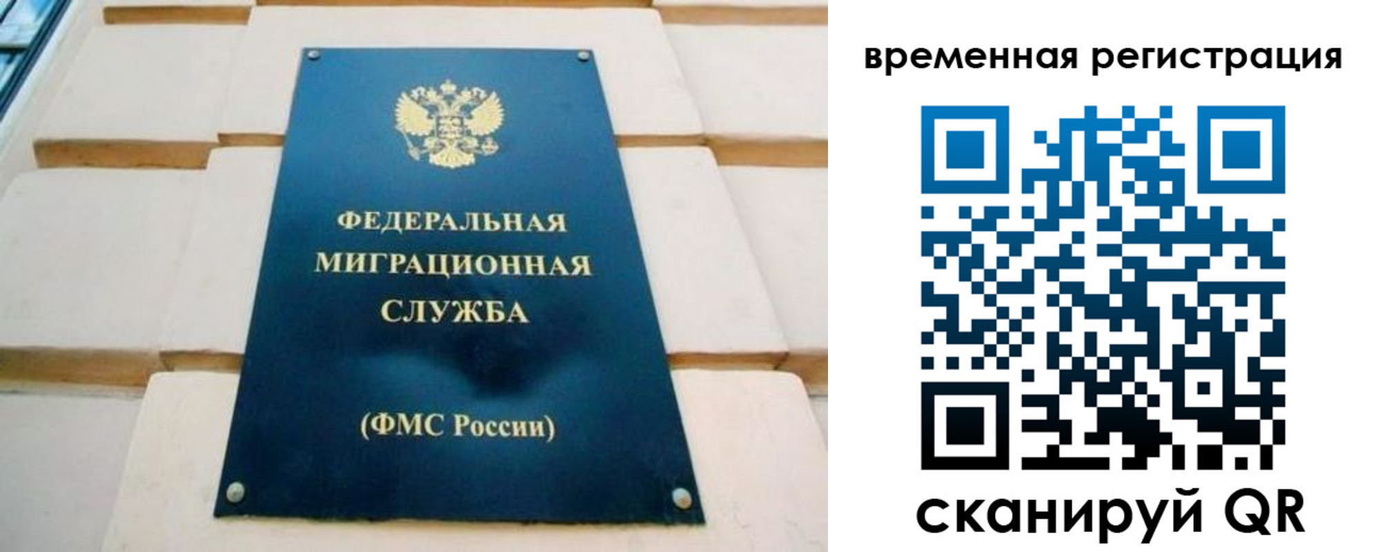 прописка гарантия в Котово